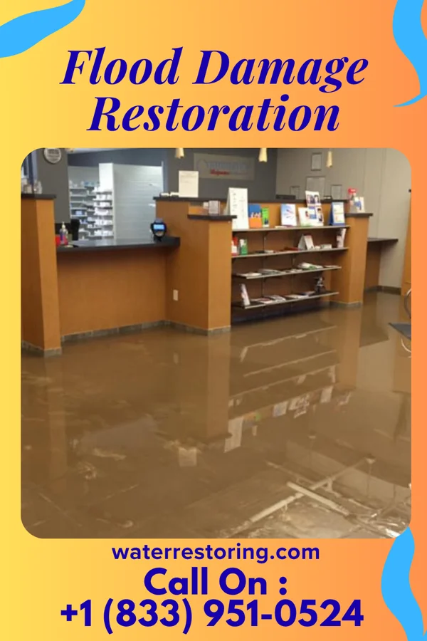 Flood Damage Restoration in Ronda, NC