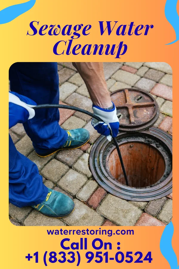 Sewage Water Cleanup in Ronda, NC
